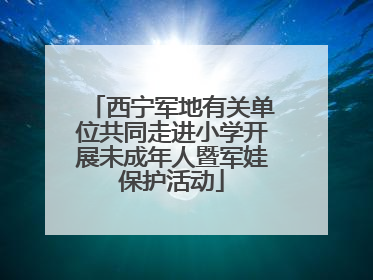 西宁军地有关单位共同走进小学开展未成年人暨军娃保护活动